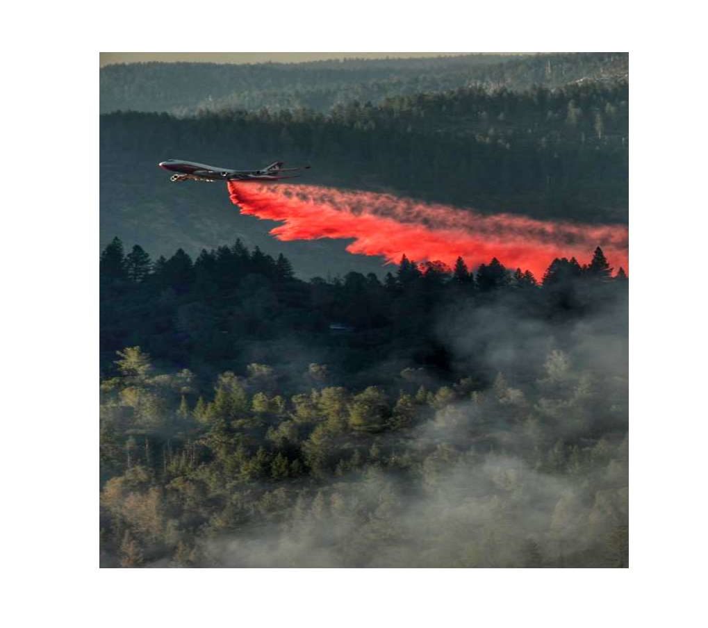 Amazon Forest Fires – Devastation- Can Technology Offer Any Assistance