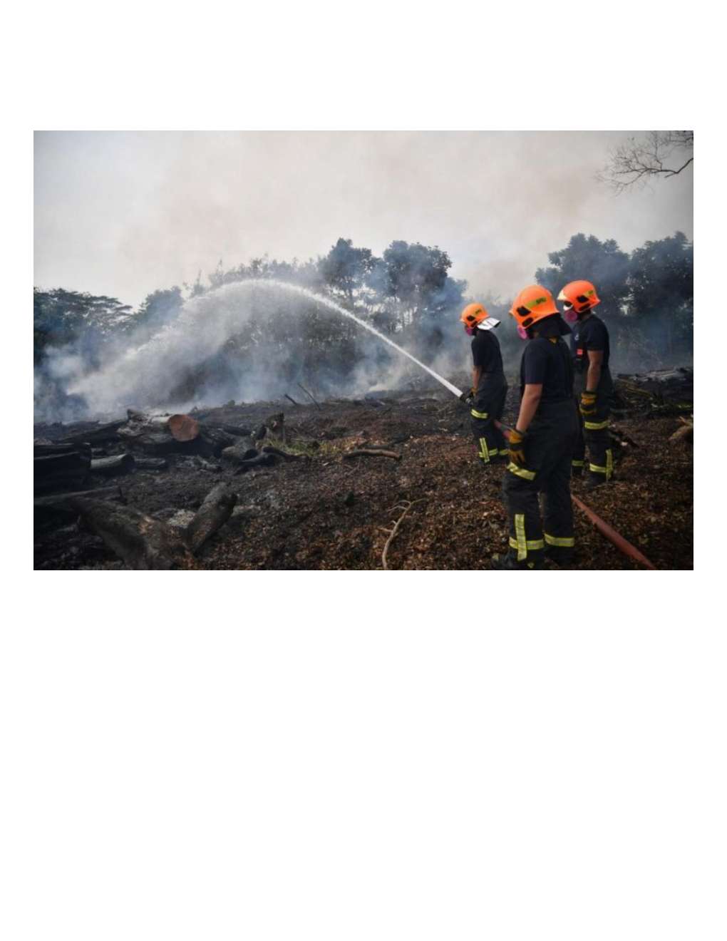 Bush Fire Monitoring For Urban & Agricultural Environment – IoT Technology
